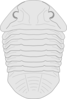 Trilobite Fossil Clip Art